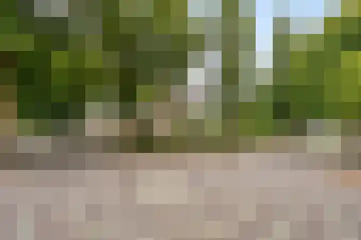 De Aanstee 1 Diessen thumbnail 56