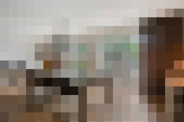 De Aanstee 1 Diessen thumbnail 7