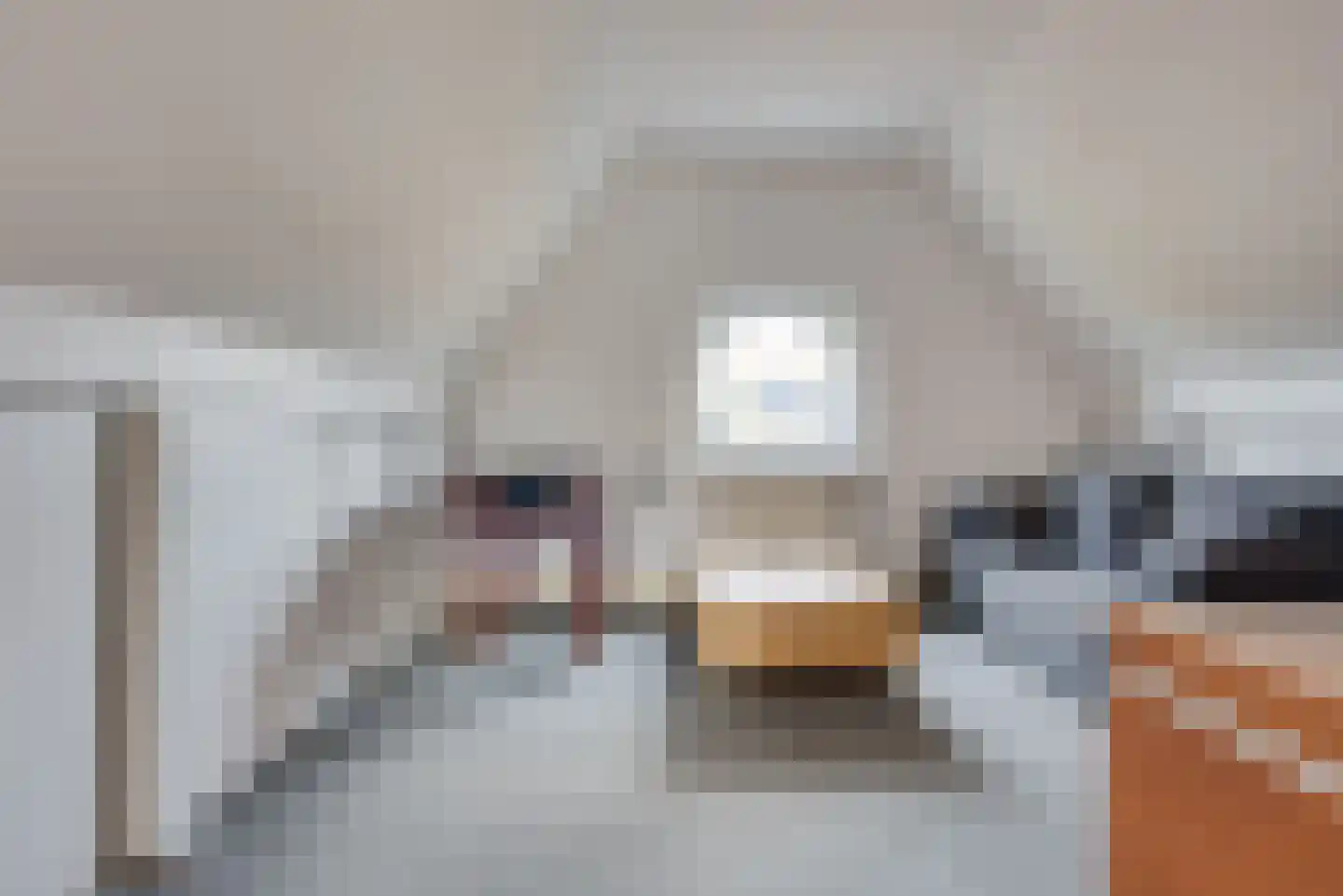 De Aanstee 6 Diessen thumbnail 21