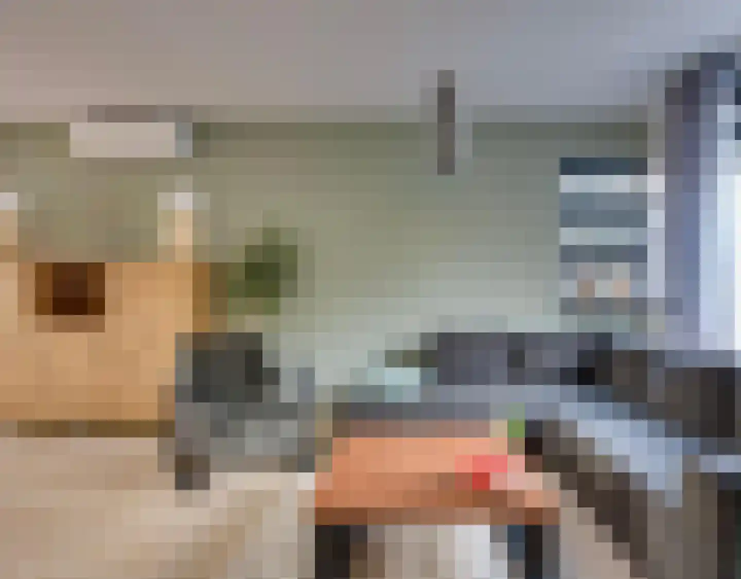 De Aanstee 6 Diessen foto 3