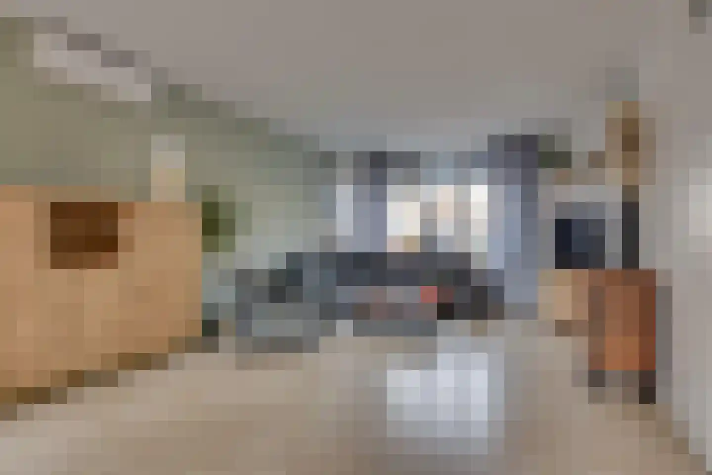 De Aanstee 6 Diessen foto 3