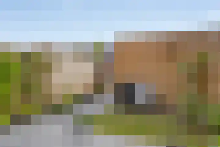 De Abdij 47 Kerk-Avezaath thumbnail 21