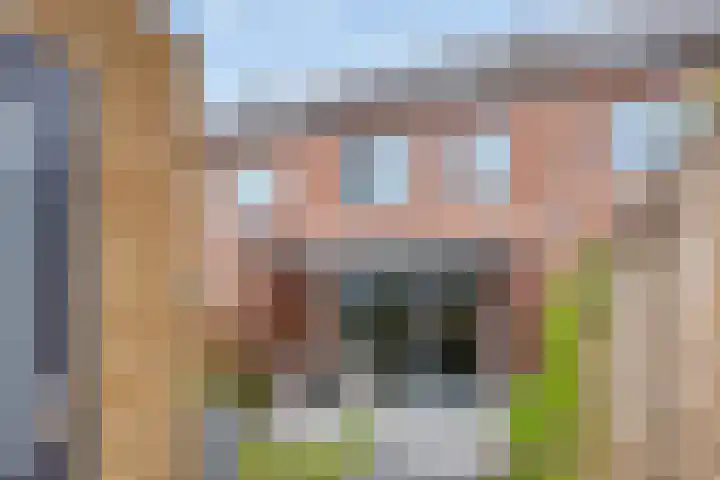 De Abdij 47 Kerk-Avezaath thumbnail 22