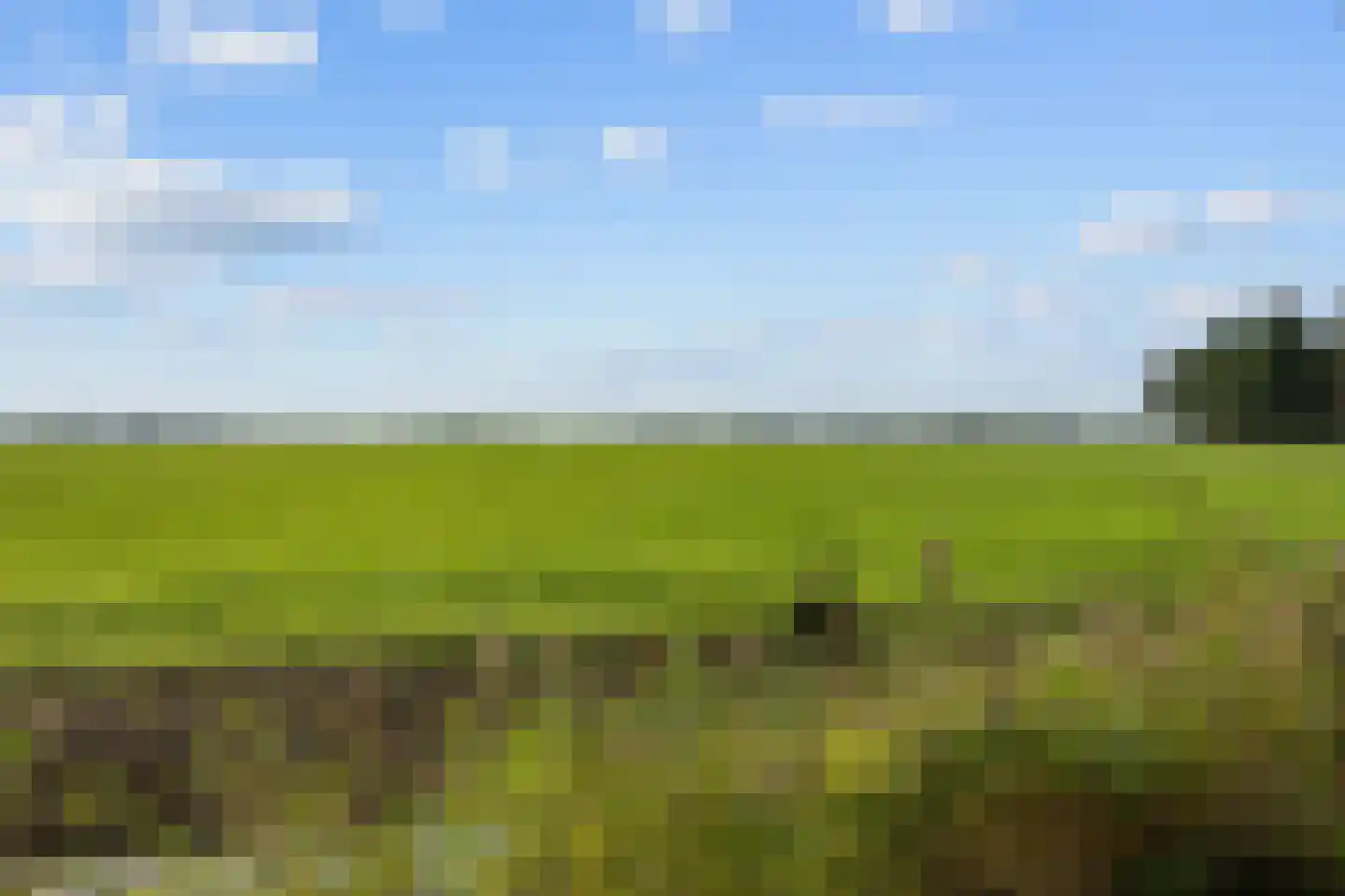 De Acacia 18 Bedum thumbnail 10
