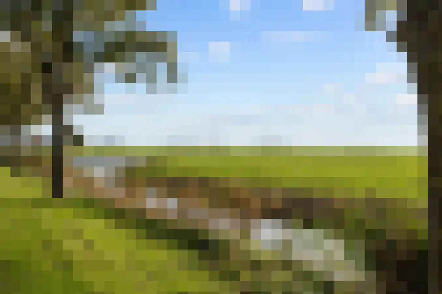 De Acacia 18 Bedum thumbnail 11