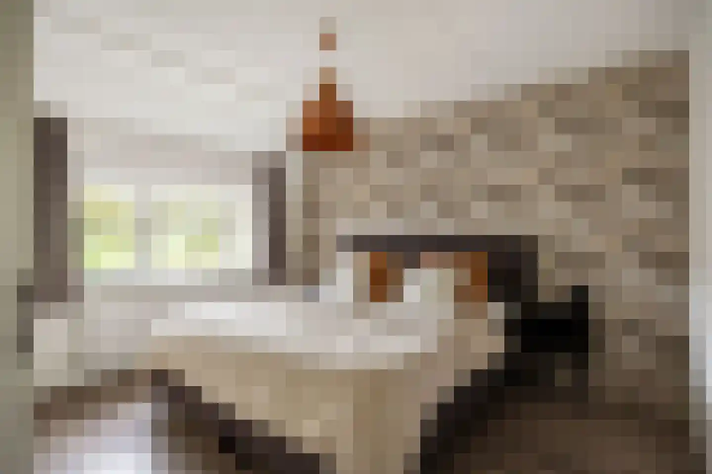 De Acacia 18 Bedum thumbnail 38