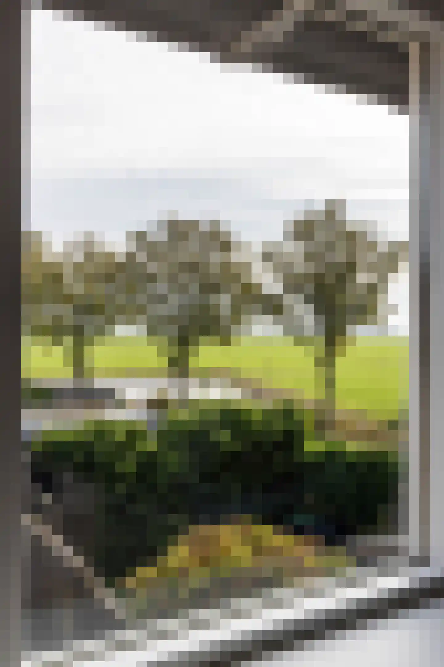 De Acacia 18 Bedum thumbnail 40