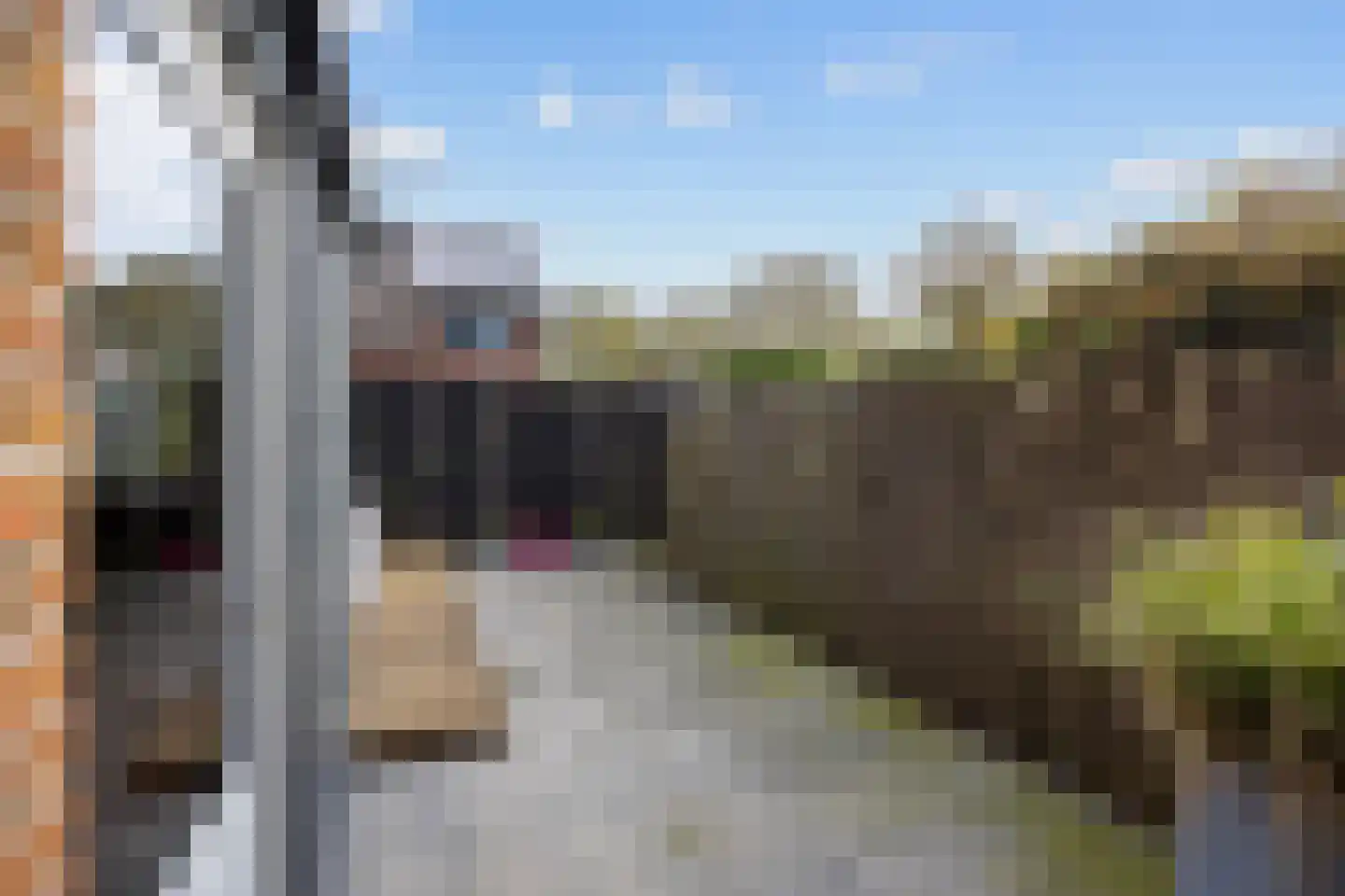 De Acacia 18 Bedum thumbnail 52