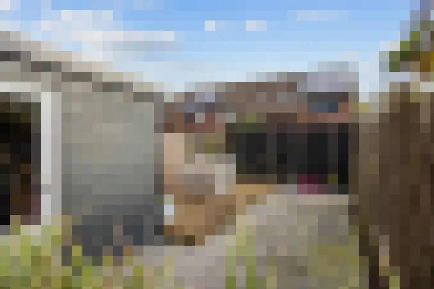 De Acacia 18 Bedum thumbnail 53