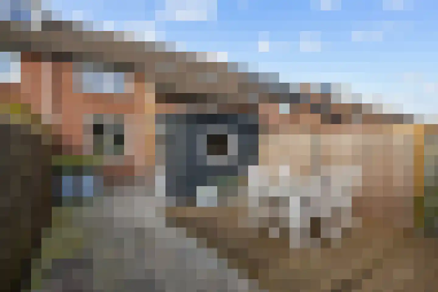 De Acacia 18 Bedum thumbnail 56