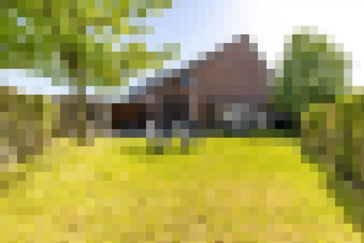 De Acacia 2 Bedum