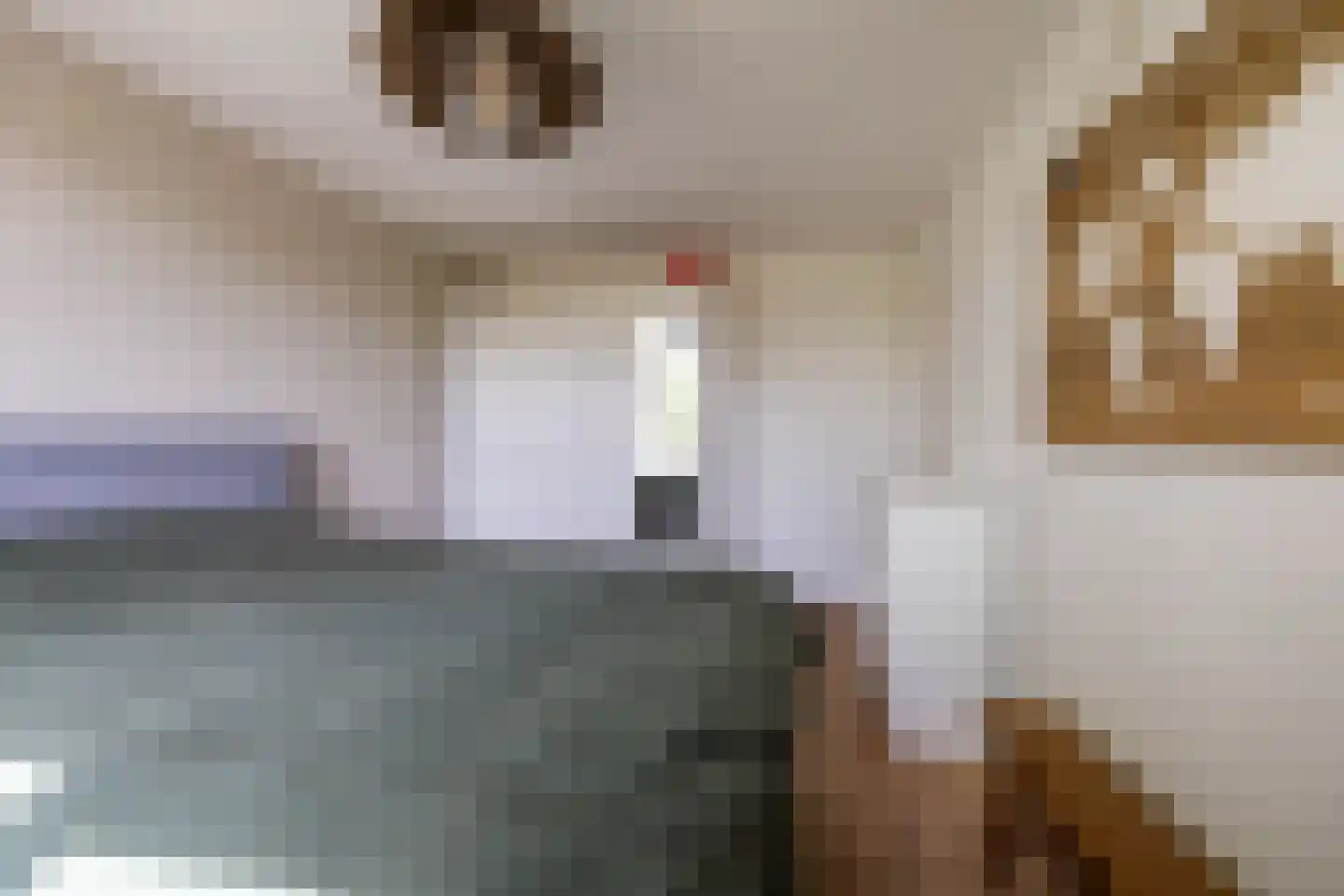 De Acacia 2 Bedum thumbnail 20
