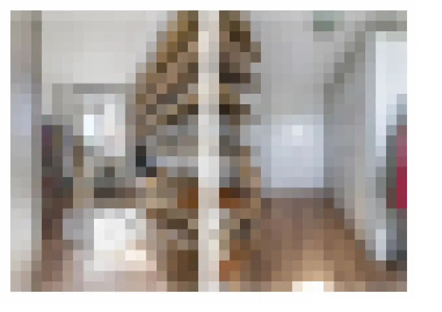 De Acacia 2 Bedum thumbnail 25