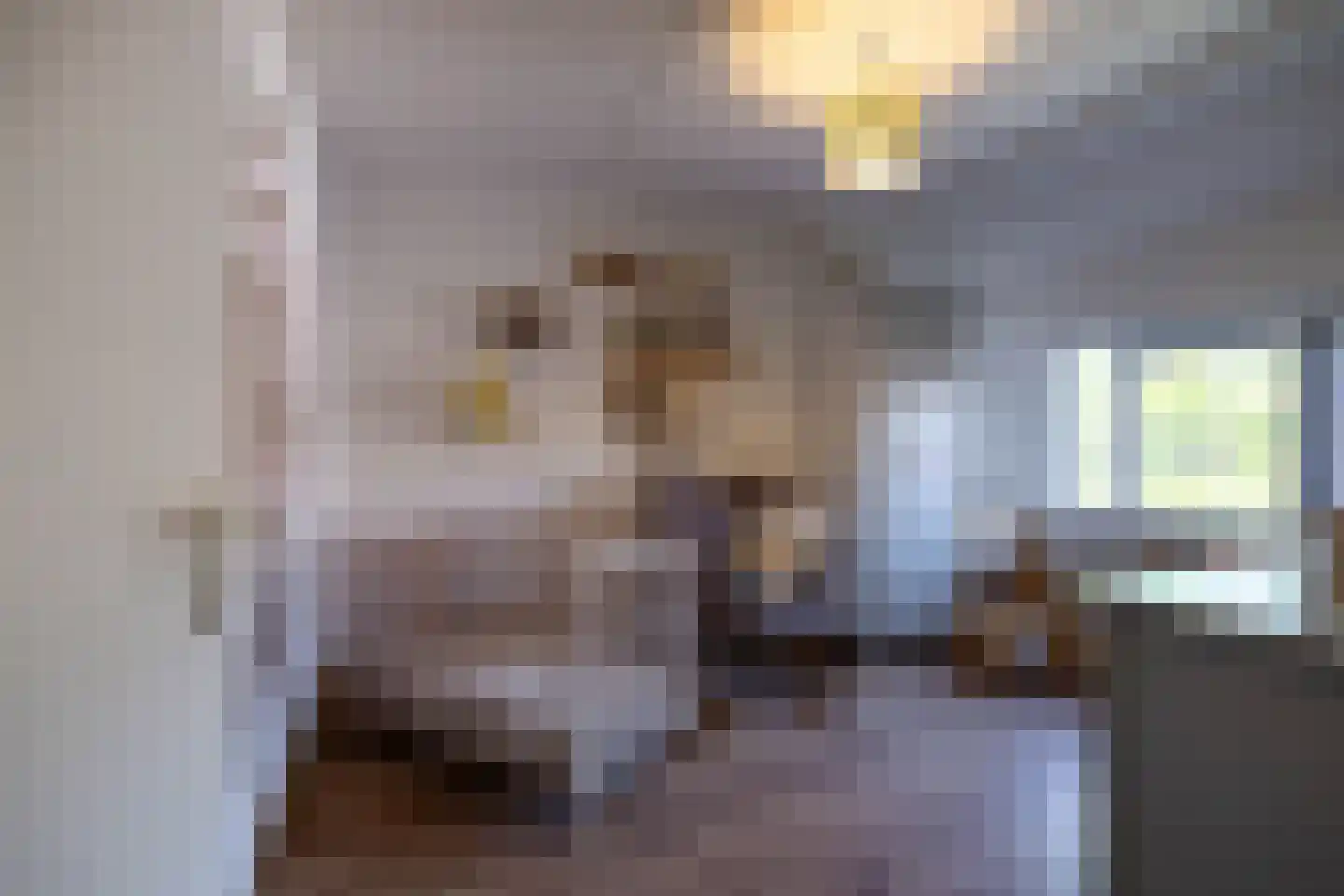 De Acacia 2 Bedum thumbnail 26