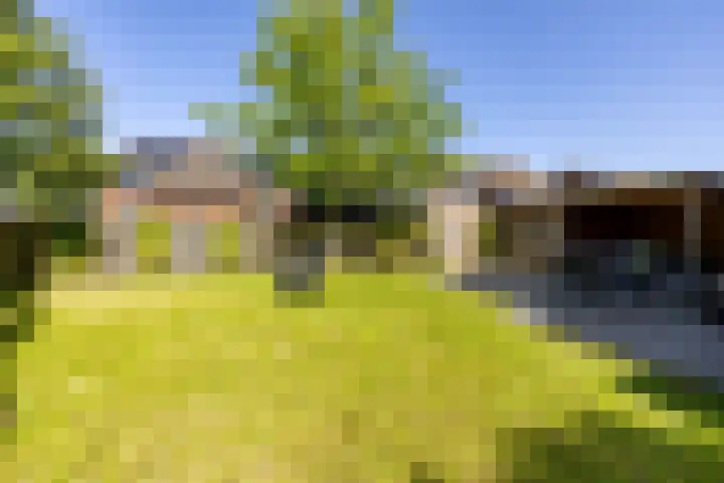 De Acacia 2 Bedum thumbnail 34