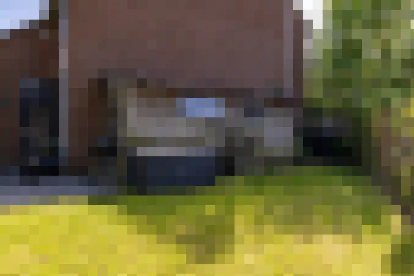 De Acacia 2 Bedum thumbnail 37