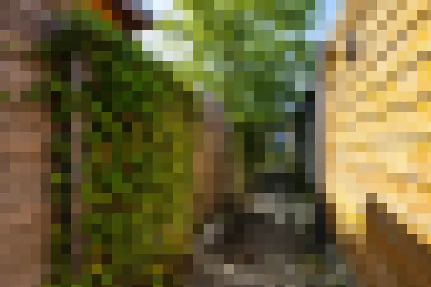 De Acacia 2 Bedum thumbnail 38