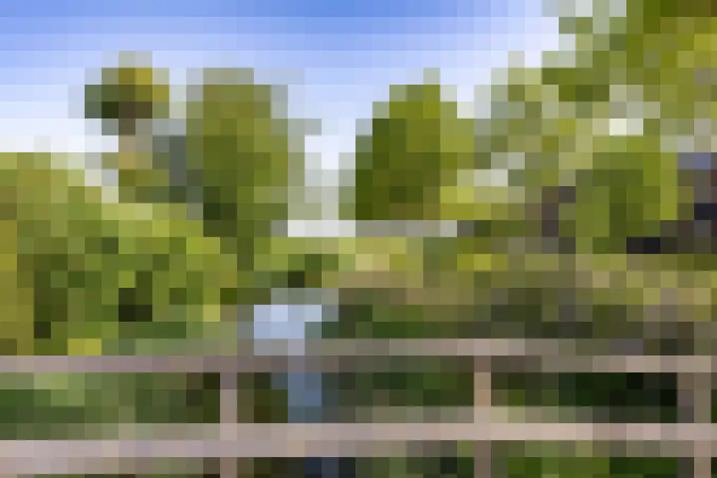 De Acacia 2 Bedum thumbnail 39