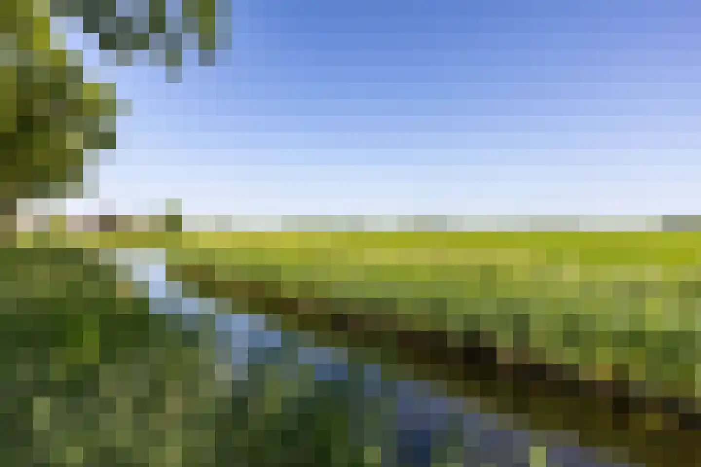 De Acacia 2 Bedum thumbnail 40