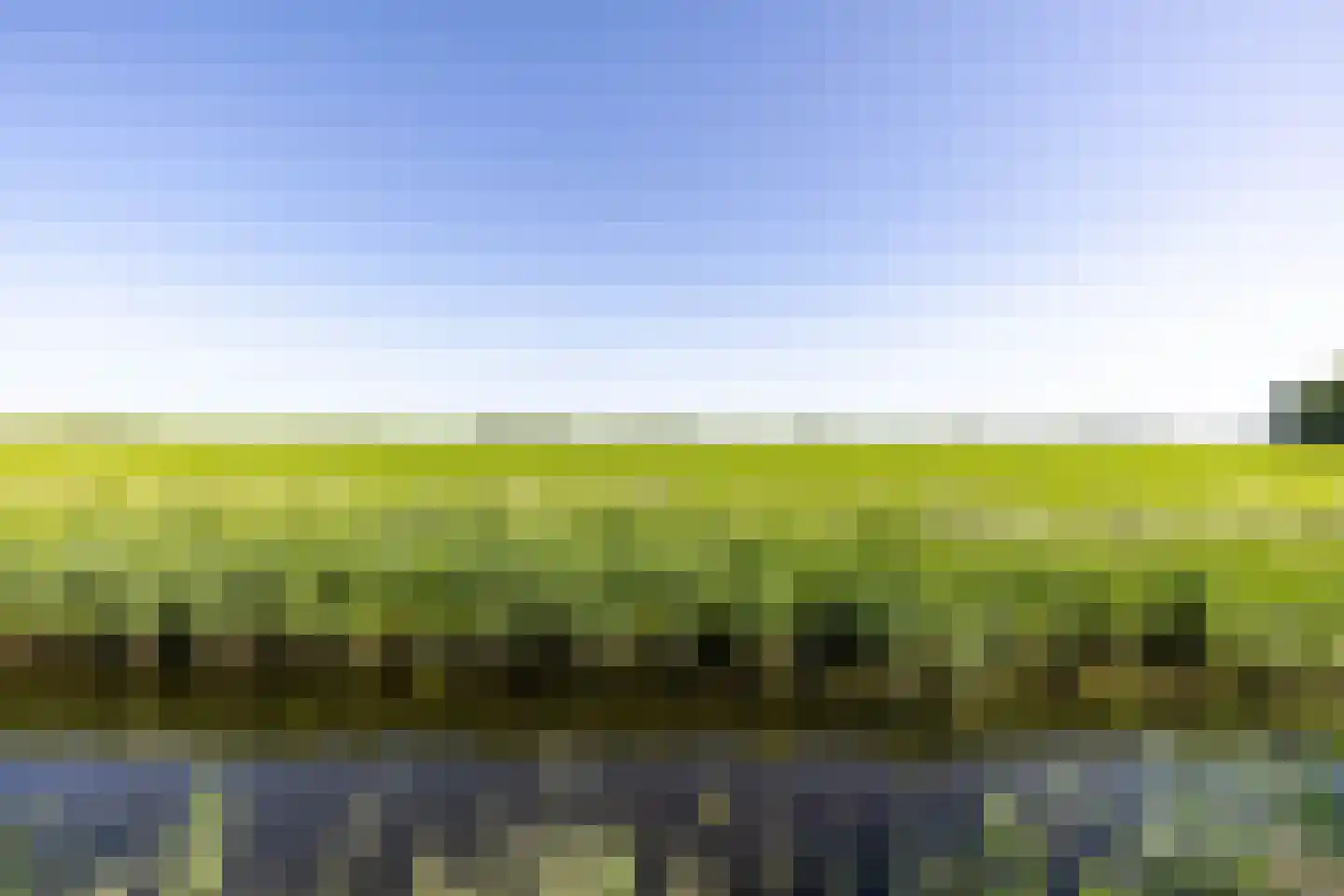 De Acacia 2 Bedum thumbnail 41