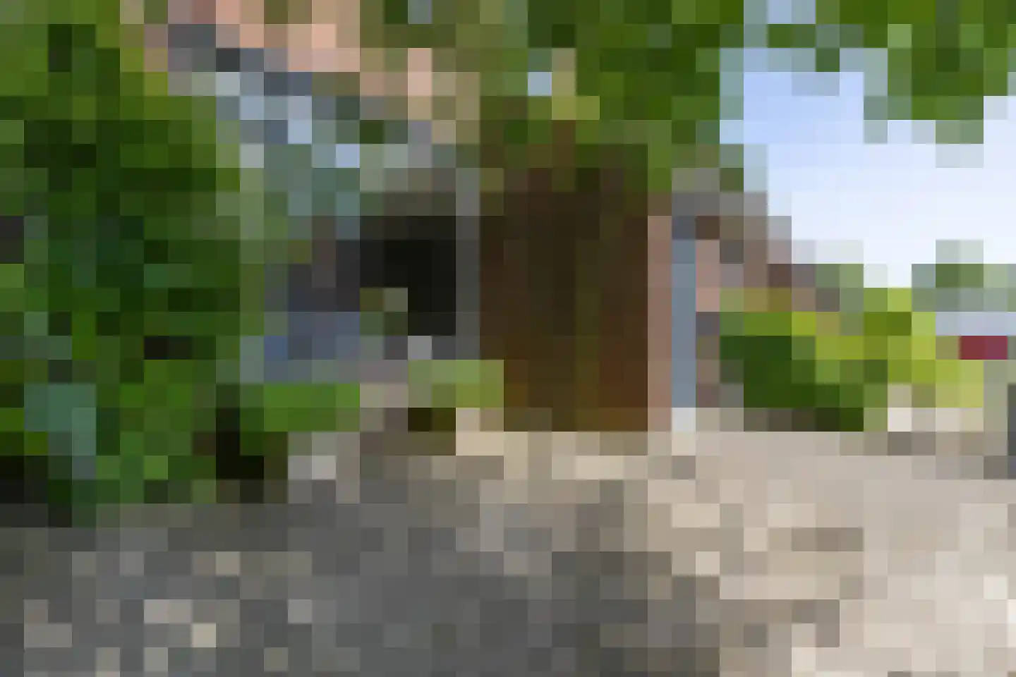 De Acacia 2 Bedum thumbnail 7