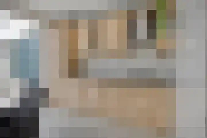 de Acacia 32 Boxmeer thumbnail 20
