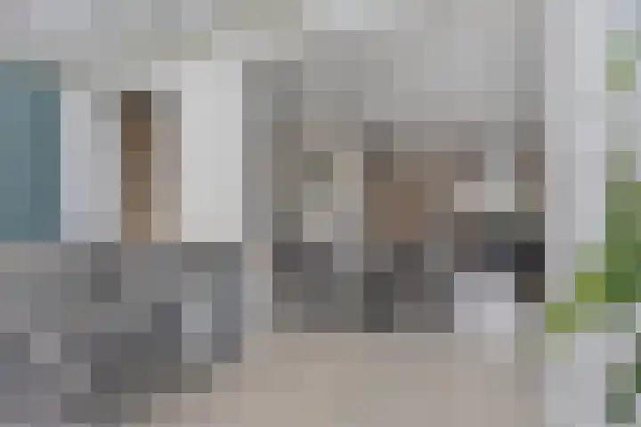 de Acacia 32 Boxmeer thumbnail 22