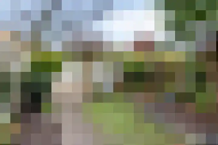 de Acacia 32 Boxmeer thumbnail 30