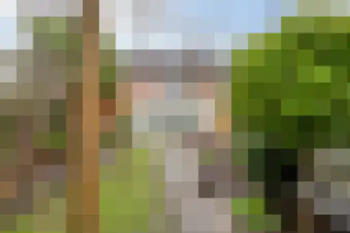 de Acacia 32 Boxmeer thumbnail 32