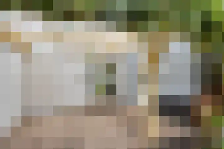 de Acacia 32 Boxmeer thumbnail 33