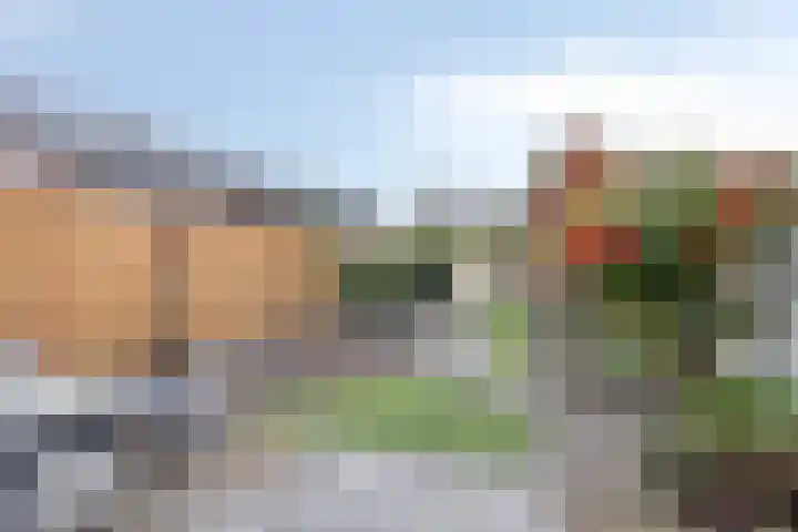 de Acacia 32 Boxmeer thumbnail 4