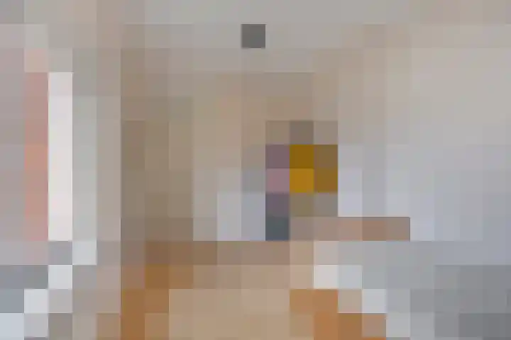 de Acacia 32 Boxmeer thumbnail 43