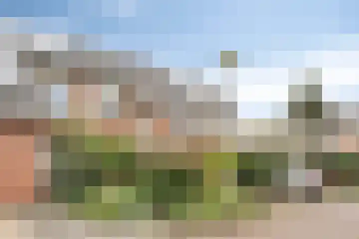 de Acacia 32 Boxmeer thumbnail 5