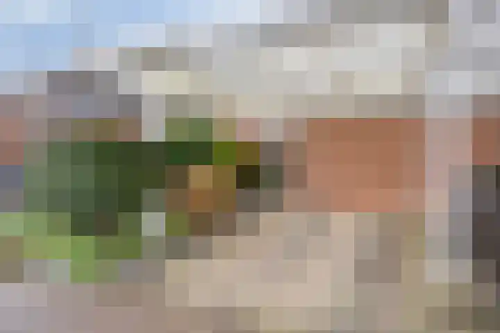 de Acacia 32 Boxmeer thumbnail 6