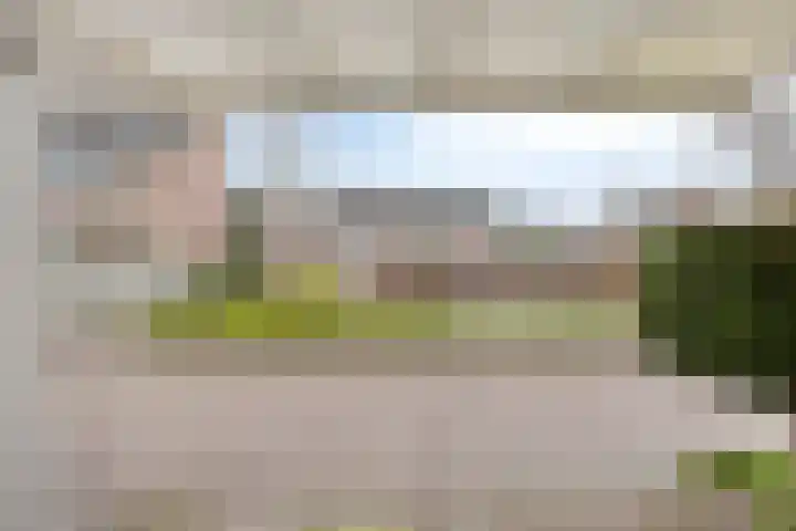 de Acacia 32 Boxmeer thumbnail 7