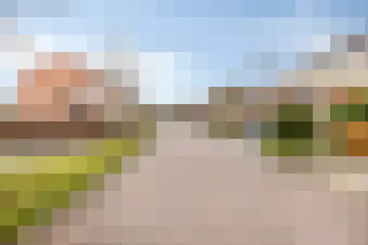 de Acacia 32 Boxmeer thumbnail 8