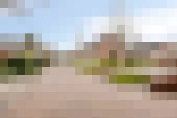 de Acacia 32 Boxmeer thumbnail 9