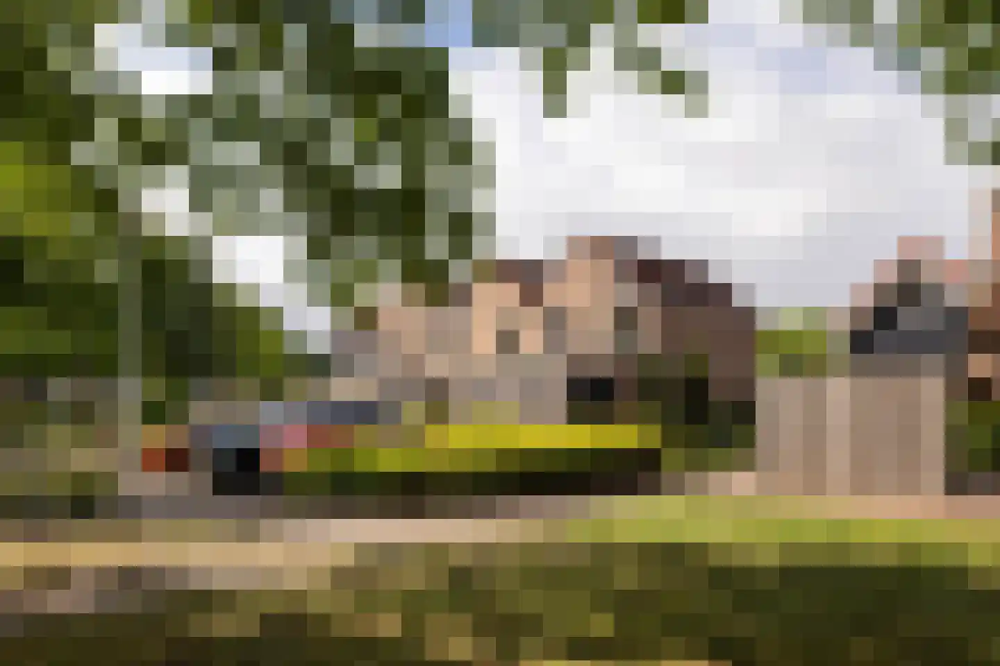 de Acacia 37 Hoogerheide thumbnail 38