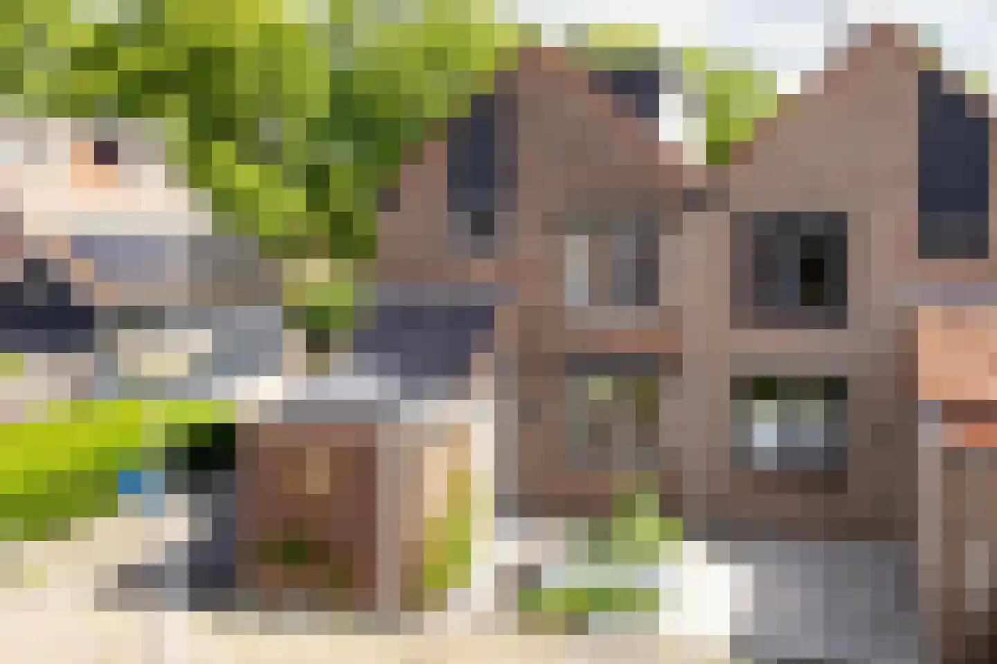 de Acacia 37 Hoogerheide thumbnail 43
