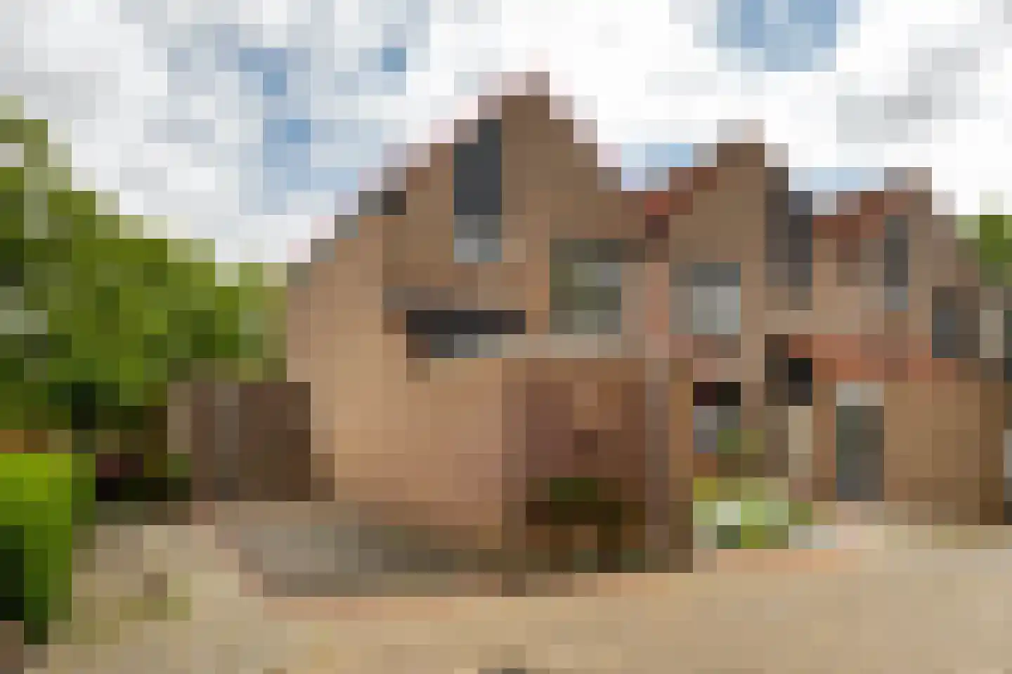 de Acacia 37 Hoogerheide thumbnail 44