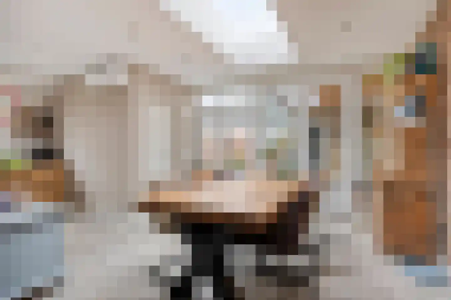 de Acacia 4 Boxmeer thumbnail 11