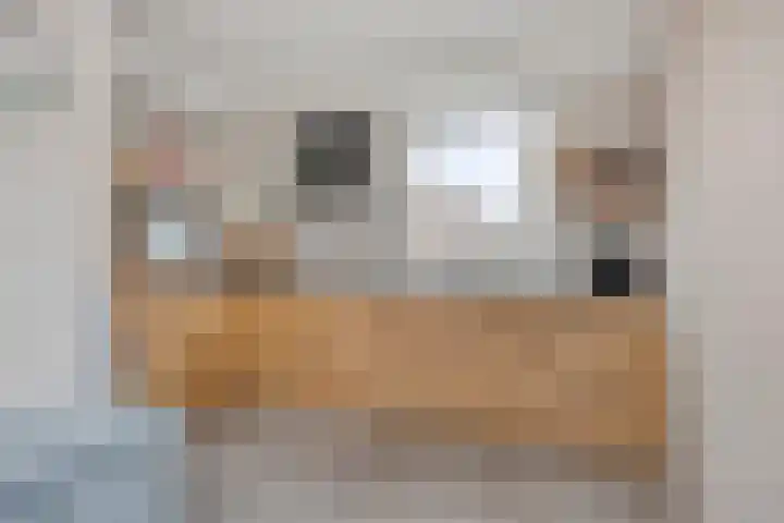 de Acacia 4 Boxmeer thumbnail 12