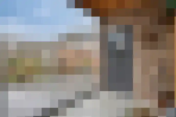 de Acacia 4 Boxmeer thumbnail 16