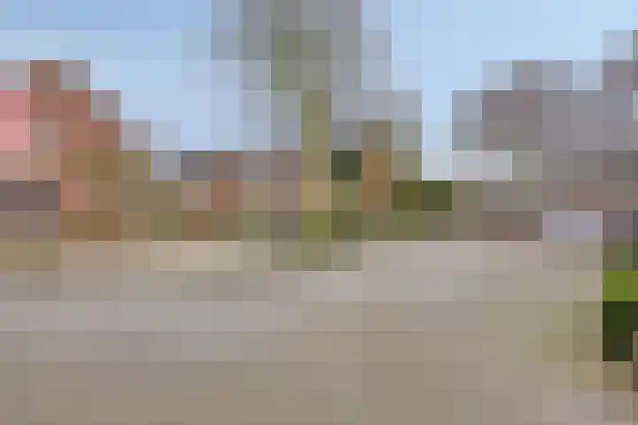 de Acacia 4 Boxmeer thumbnail 31