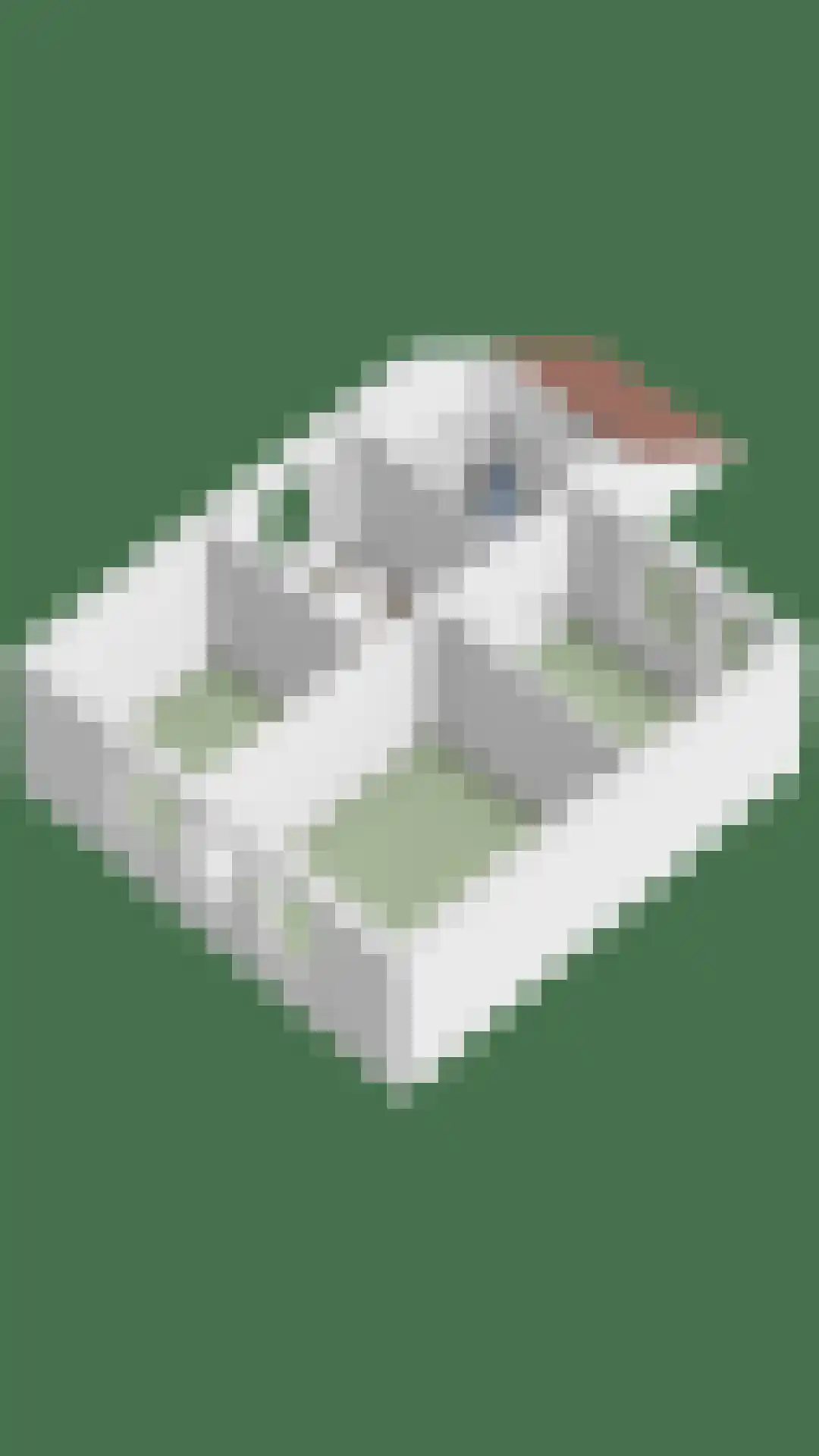 de Acacia 4 Boxmeer thumbnail 38