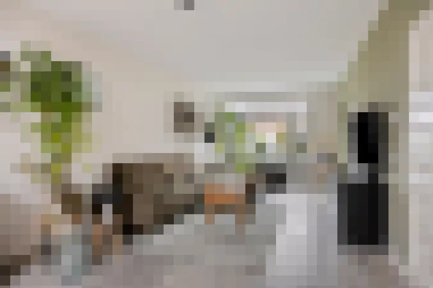 de Acacia 4 Boxmeer thumbnail 4