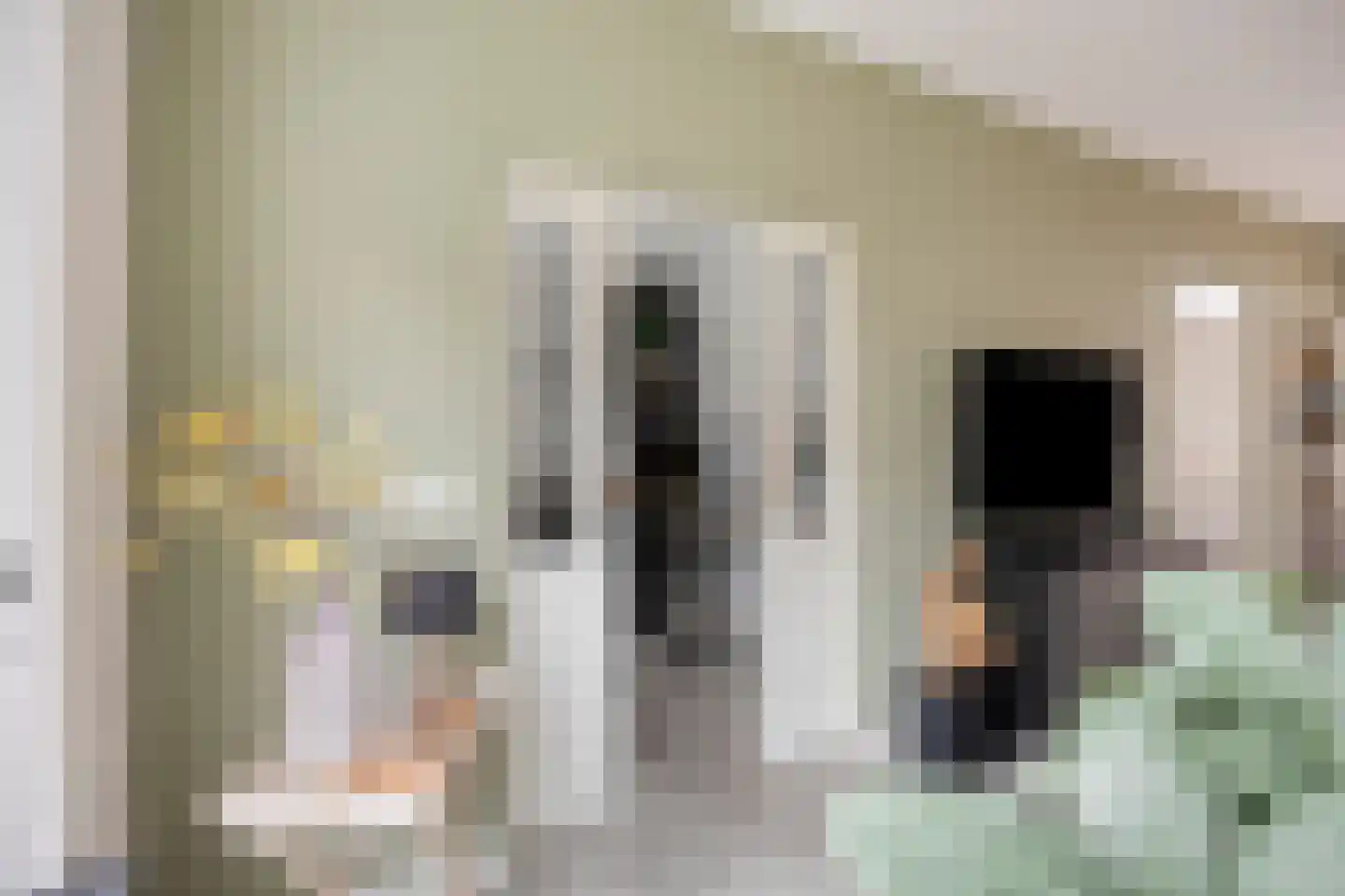 de Acacia 4 Boxmeer thumbnail 6