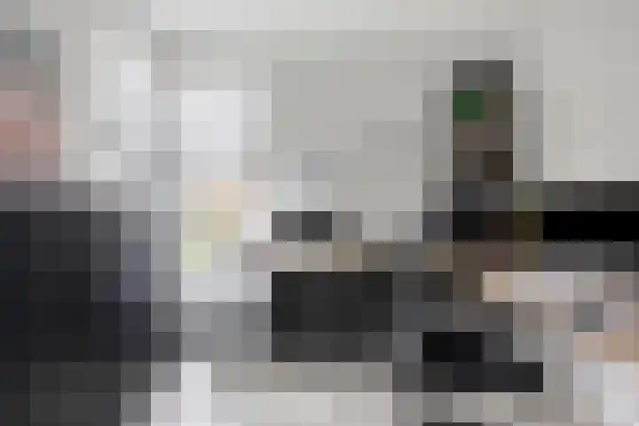 de Acacia 4 Boxmeer thumbnail 7
