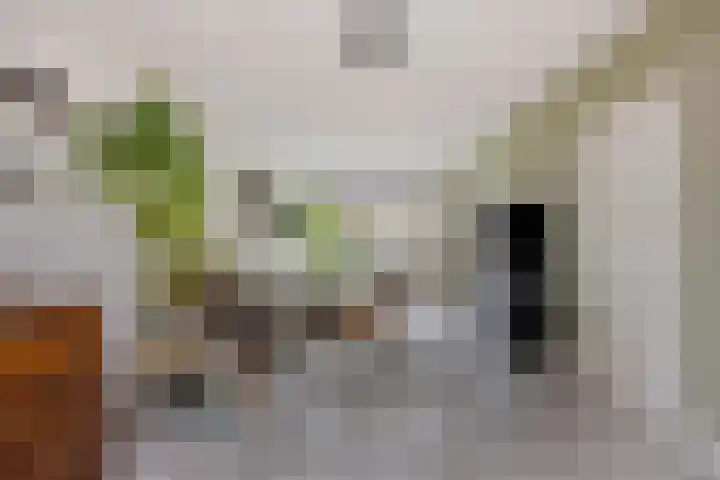 de Acacia 4 Boxmeer thumbnail 8