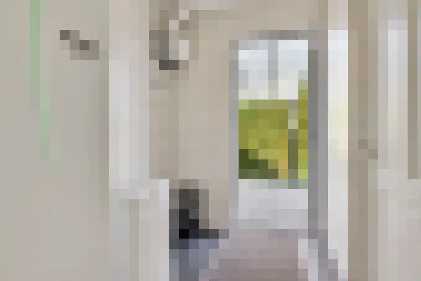 de Acacia 5 a Didam thumbnail 19